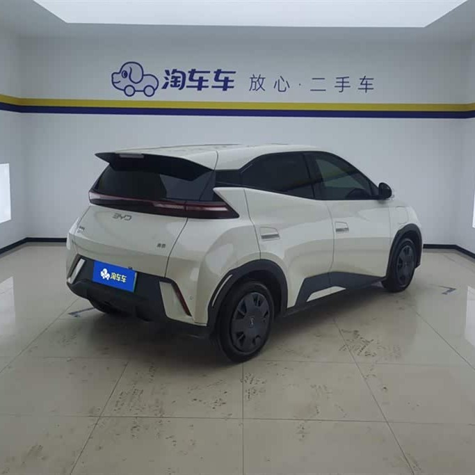 Seagull 2024 Glory Edition 305km Vitality Edition Seagull 2024 Glory Edition 305km Vitality Edition