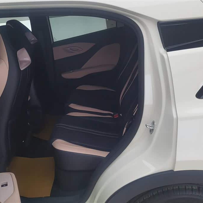 Seagull 2024 Glory Edition 305km Vitality Edition Seagull 2024 Glory Edition 305km Vitality Edition