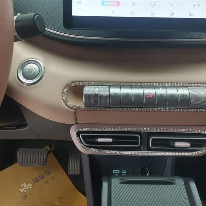 Seagull 2024 Glory Edition 305km Vitality Edition Seagull 2024 Glory Edition 305km Vitality Edition