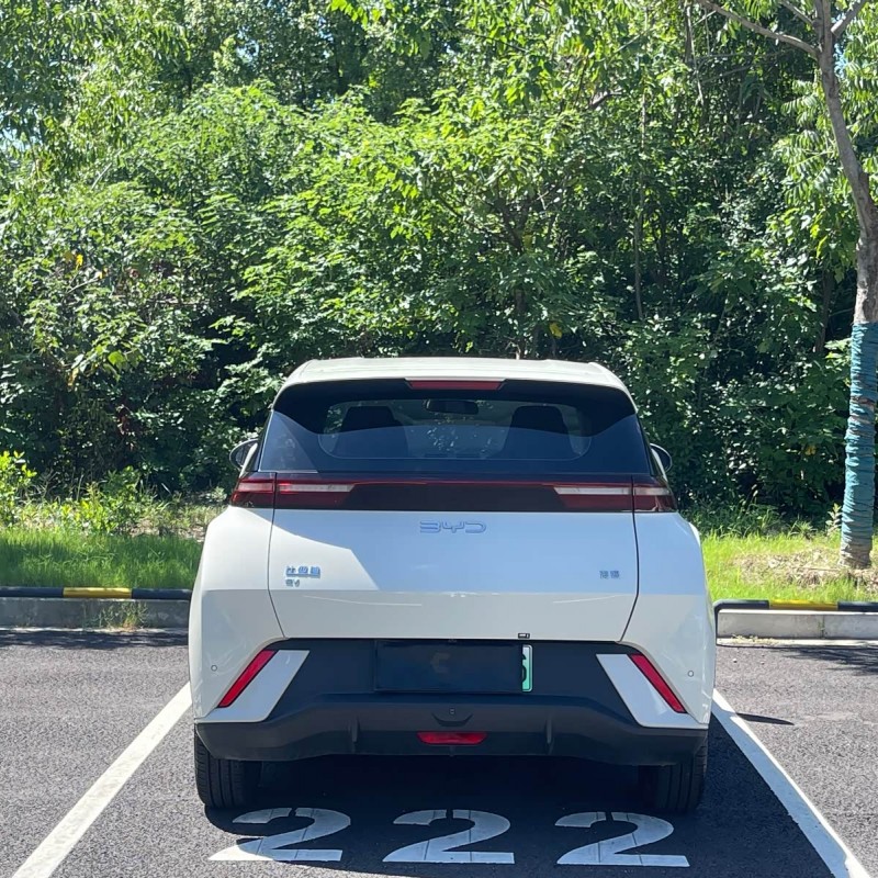 Seagull 2025 405km Flying Edition Seagull 2025 405km Flying Edition