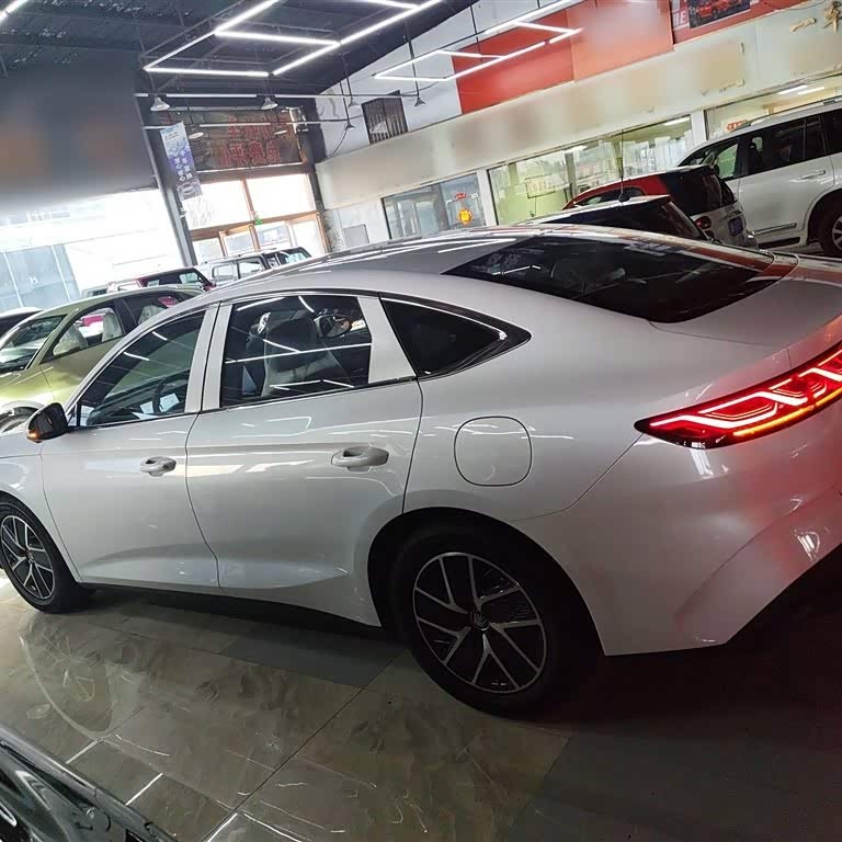 Qin L 2024 DM-i 80KM Beyond Edition Qin L 2024 DM-i 80KM Beyond Edition