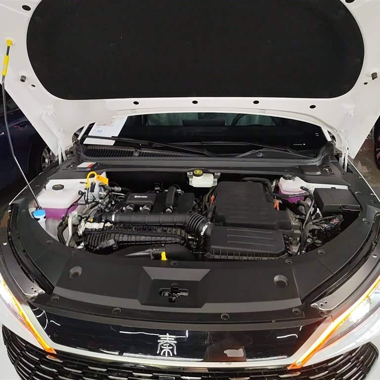Qin L 2024 DM-i 80KM Beyond Edition Qin L 2024 DM-i 80KM Beyond Edition