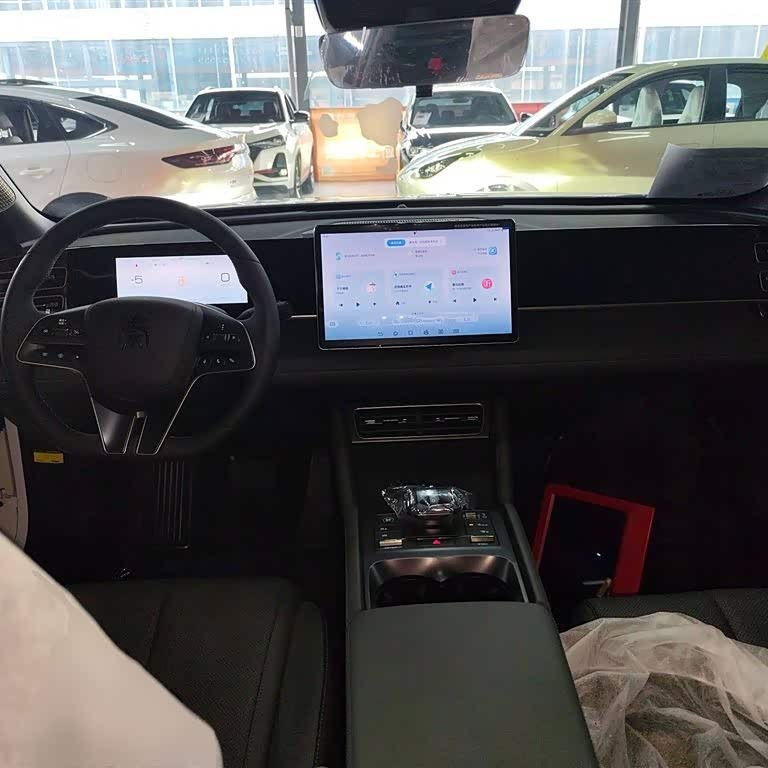 Qin L 2024 DM-i 80KM Beyond Edition Qin L 2024 DM-i 80KM Beyond Edition