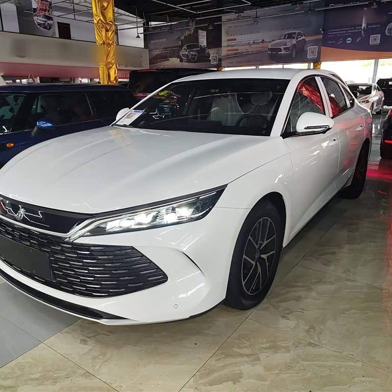 Qin L 2024 DM-i 80KM Beyond Edition Qin L 2024 DM-i 80KM Beyond Edition