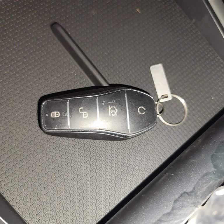 Qin L 2024 DM-i 80KM Beyond Edition Qin L 2024 DM-i 80KM Beyond Edition