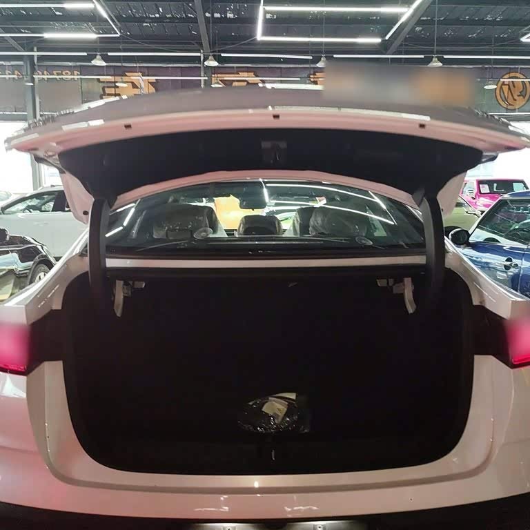 Qin L 2024 DM-i 80KM Beyond Edition Qin L 2024 DM-i 80KM Beyond Edition