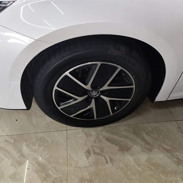 Qin L 2024 DM-i 80KM Beyond Edition Qin L 2024 DM-i 80KM Beyond Edition