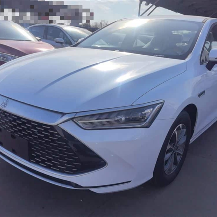 Qin PLUS 2024 Honor Edition DM-i 55KM Leading Edition