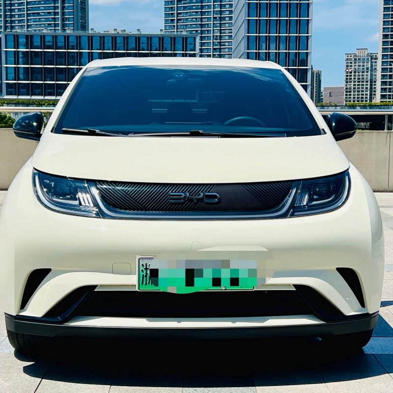 Dolphin 2025 420km Vitality Edition Dolphin 2025 420km Vitality Edition