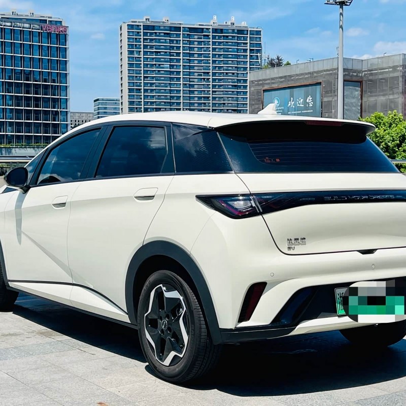 Dolphin 2025 420km Vitality Edition Dolphin 2025 420km Vitality Edition
