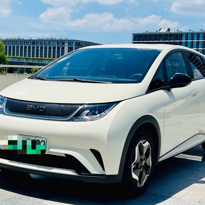 Dolphin 2025 420km Vitality Edition Dolphin 2025 420km Vitality Edition