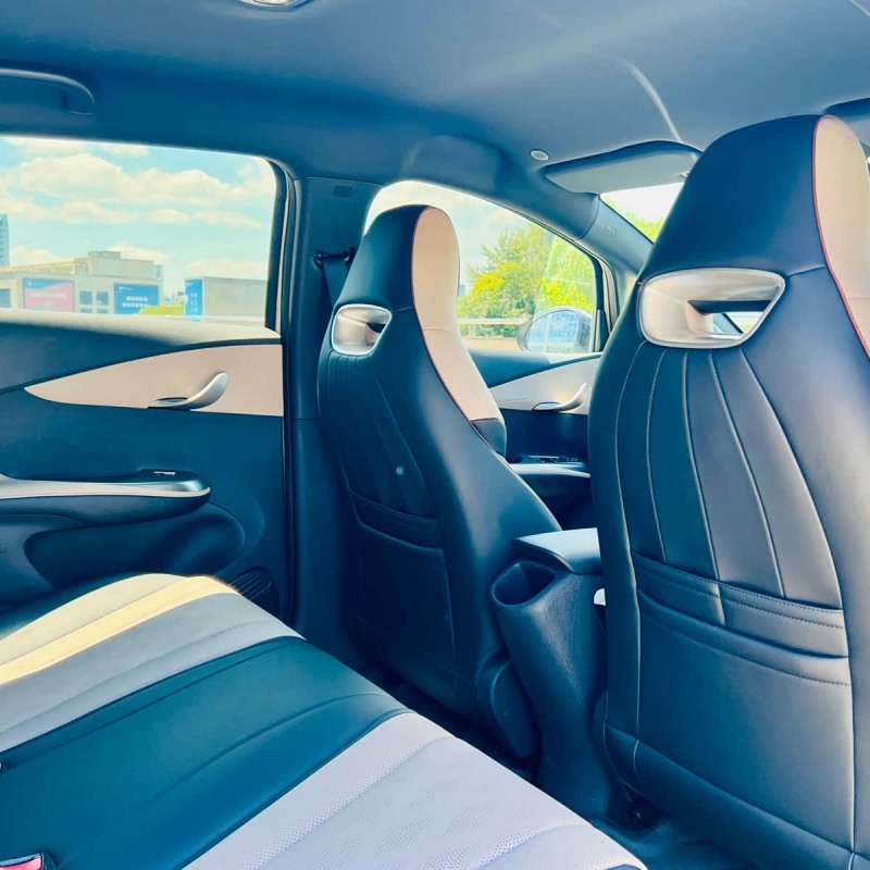 Dolphin 2025 420km Vitality Edition Dolphin 2025 420km Vitality Edition