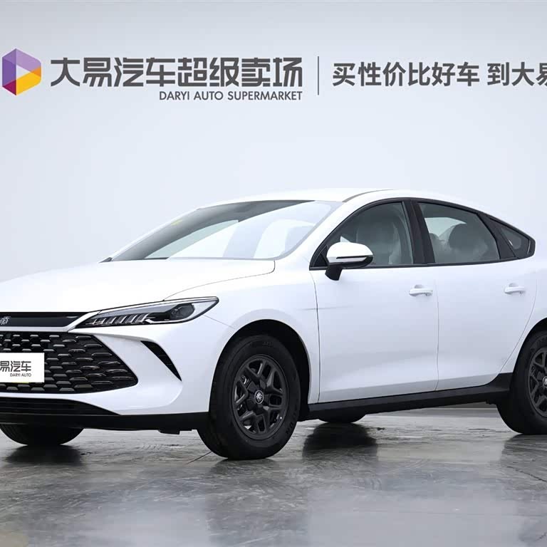 Qin PLUS 2025 DM-i Intelligent Driving Edition 55KM Leading Edition