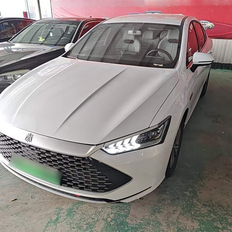 Qin PLUS 2024 Honor Edition DM-i 55KM Leading Edition