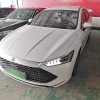 Qin PLUS 2024 Honor Edition DM-i 55KM Leading Edition