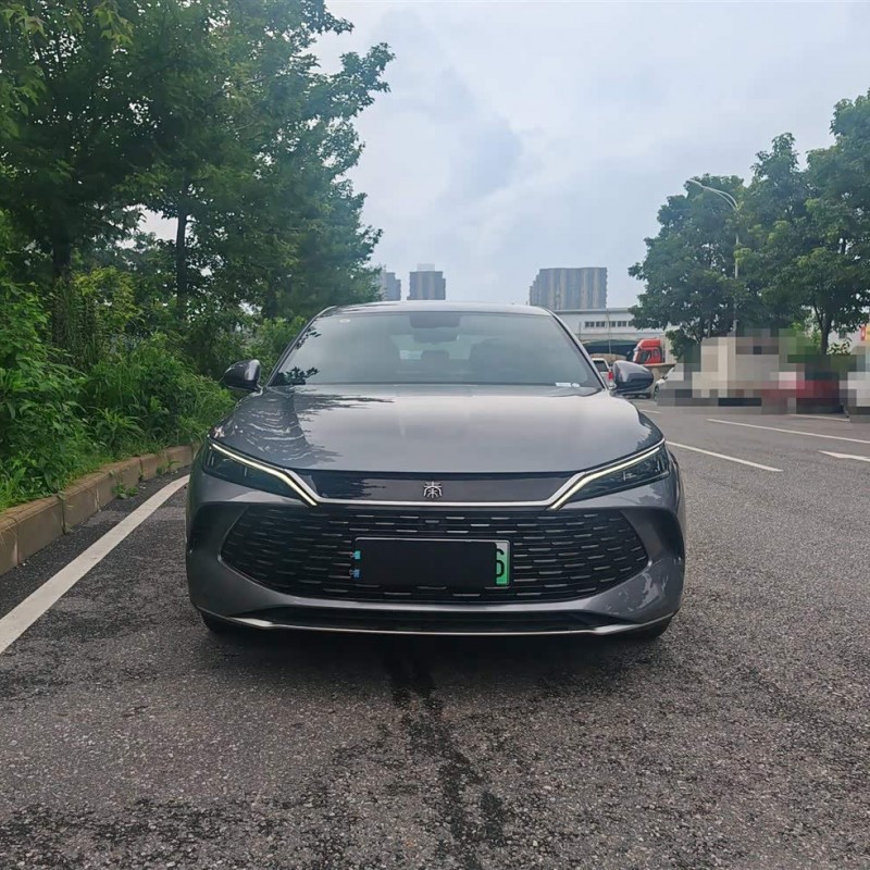 Qin L 2024 DM-i 120KM Leading Edition Qin L 2024 DM-i 120KM Leading Edition