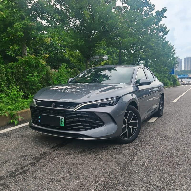 Qin L 2024 DM-i 120KM Leading Edition