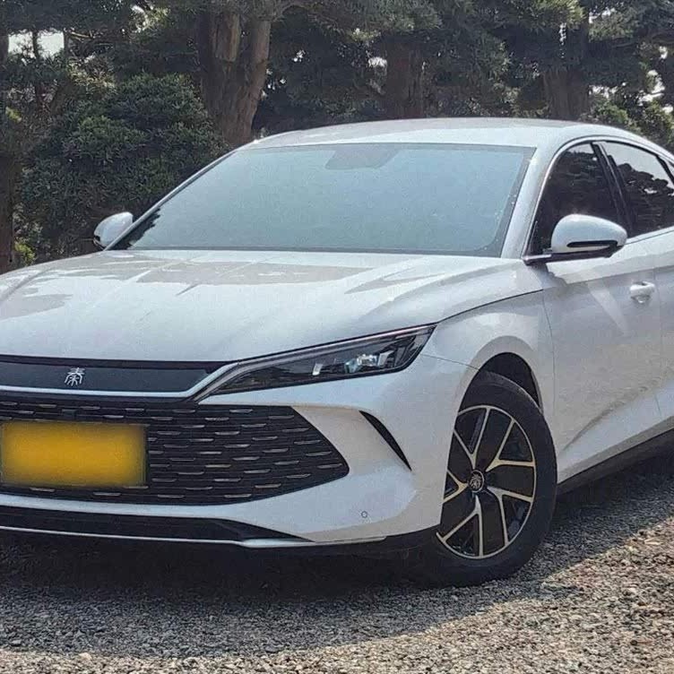 Qin L 2024 DM-i 80KM Beyond Edition