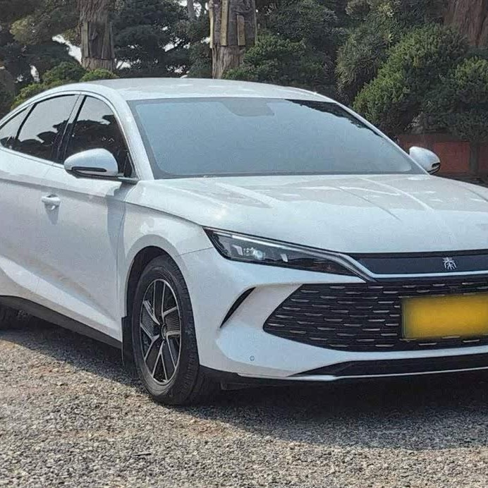 Qin L 2024 DM-i 80KM Beyond Edition Qin L 2024 DM-i 80KM Beyond Edition