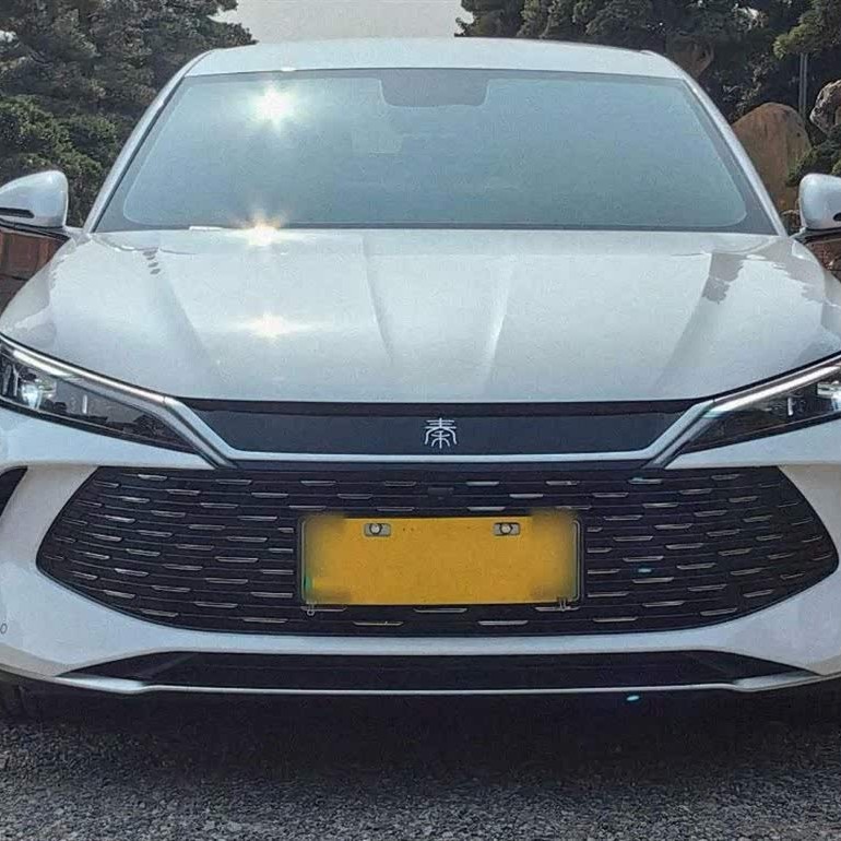 Qin L 2024 DM-i 80KM Beyond Edition Qin L 2024 DM-i 80KM Beyond Edition