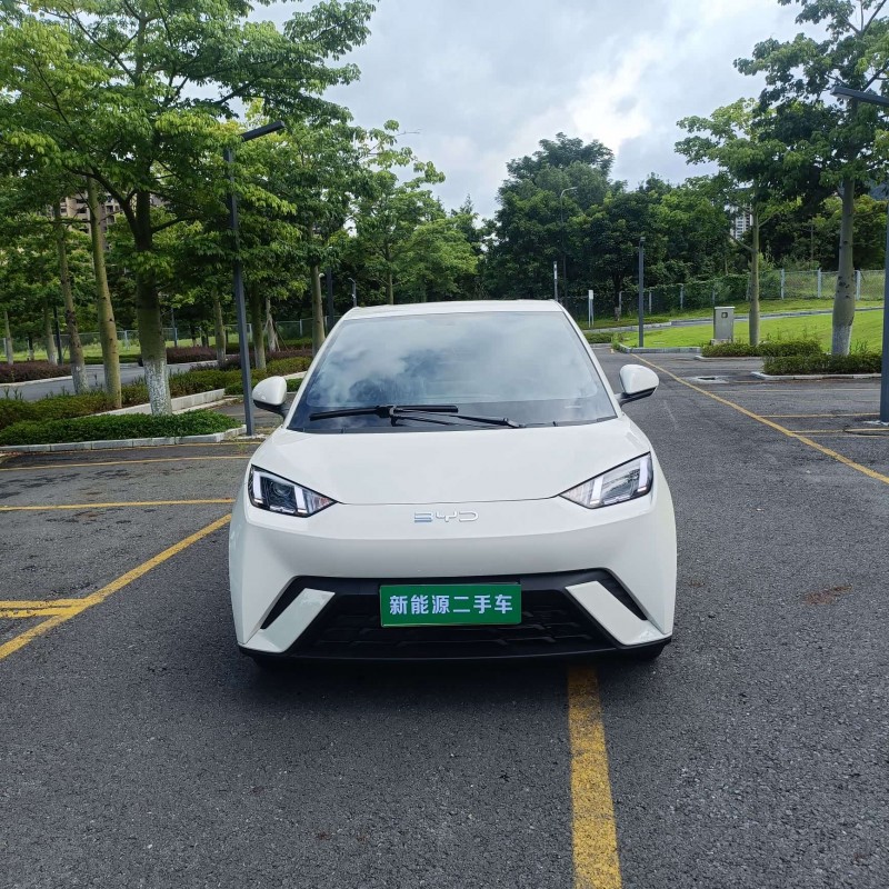 Seagull 2025 305km Vitality Edition Seagull 2025 305km Vitality Edition