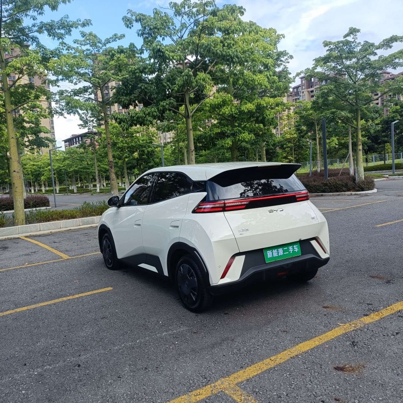 Seagull 2025 305km Vitality Edition Seagull 2025 305km Vitality Edition