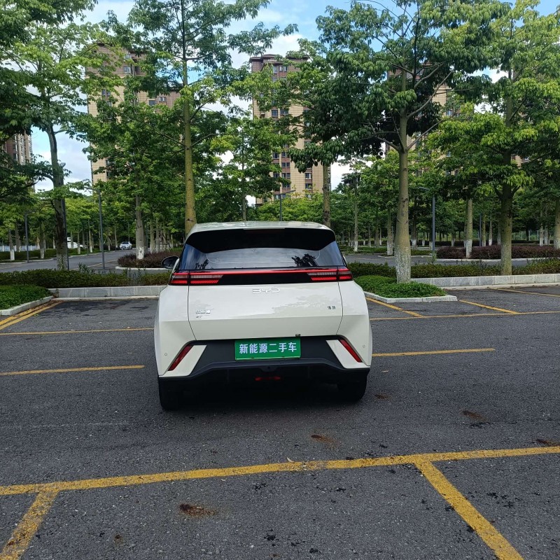 Seagull 2025 305km Vitality Edition Seagull 2025 305km Vitality Edition