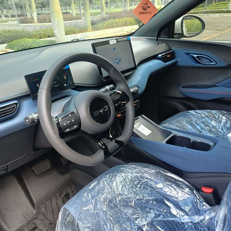 Seagull 2025 305km Vitality Edition Seagull 2025 305km Vitality Edition