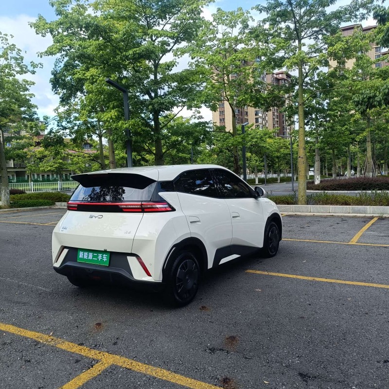 Seagull 2025 305km Vitality Edition Seagull 2025 305km Vitality Edition