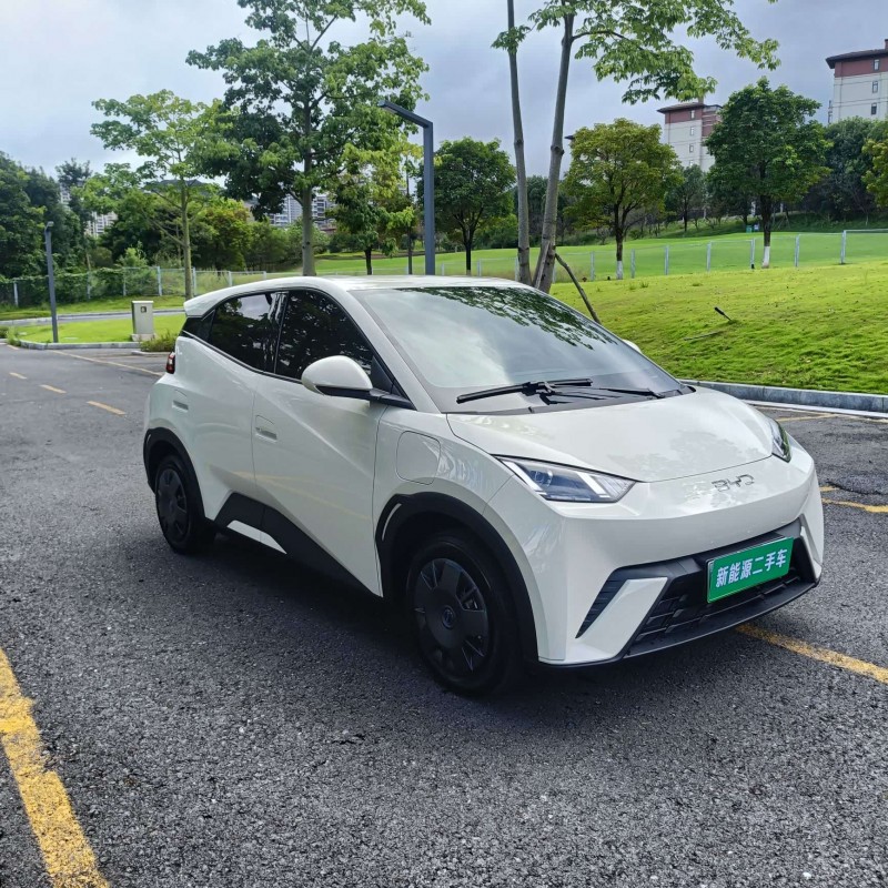 Seagull 2025 305km Vitality Edition Seagull 2025 305km Vitality Edition
