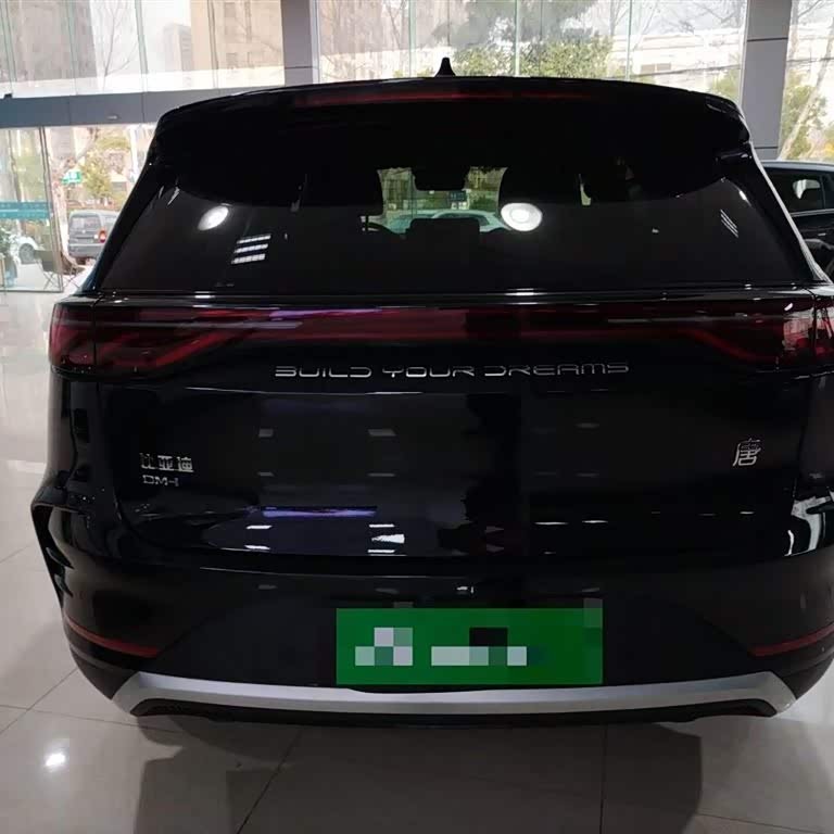 Tang New Energy 2024 DM-i Honor Edition 112KM Flagship Model Tang New Energy 2024 DM-i Honor Edition 112KM Flagship Model