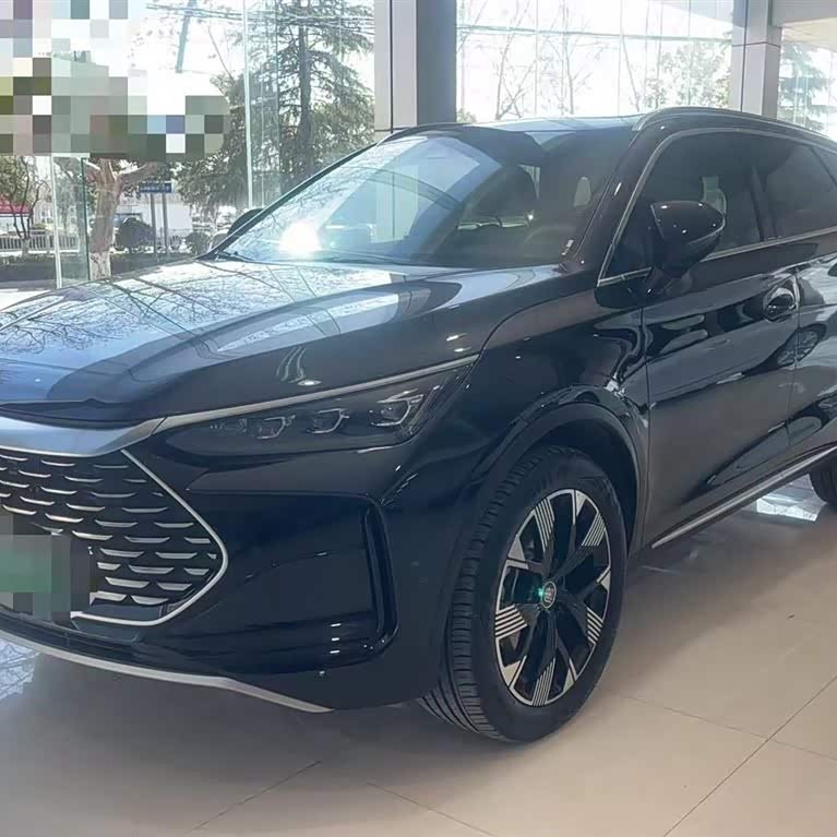 Tang New Energy 2024 DM-i Honor Edition 112KM Flagship Model Tang New Energy 2024 DM-i Honor Edition 112KM Flagship Model