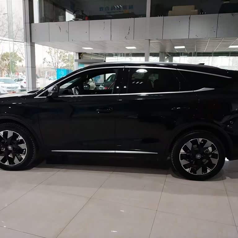 Tang New Energy 2024 DM-i Honor Edition 112KM Flagship Model Tang New Energy 2024 DM-i Honor Edition 112KM Flagship Model
