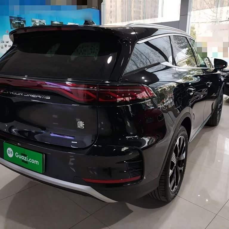 Tang New Energy 2024 DM-i Honor Edition 112KM Flagship Model Tang New Energy 2024 DM-i Honor Edition 112KM Flagship Model