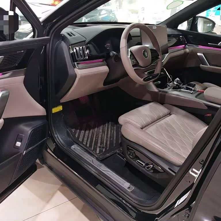 Tang New Energy 2024 DM-i Honor Edition 112KM Flagship Model Tang New Energy 2024 DM-i Honor Edition 112KM Flagship Model