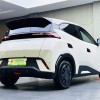 Seagull 2023 Vitality Edition Seagull 2023 Vitality Edition