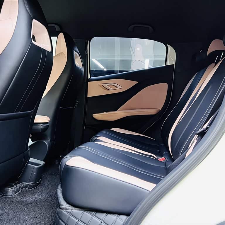 Seagull 2023 Vitality Edition Seagull 2023 Vitality Edition