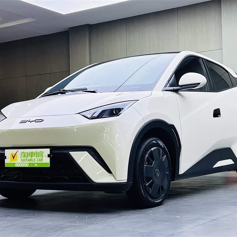 Seagull 2023 Vitality Edition Seagull 2023 Vitality Edition