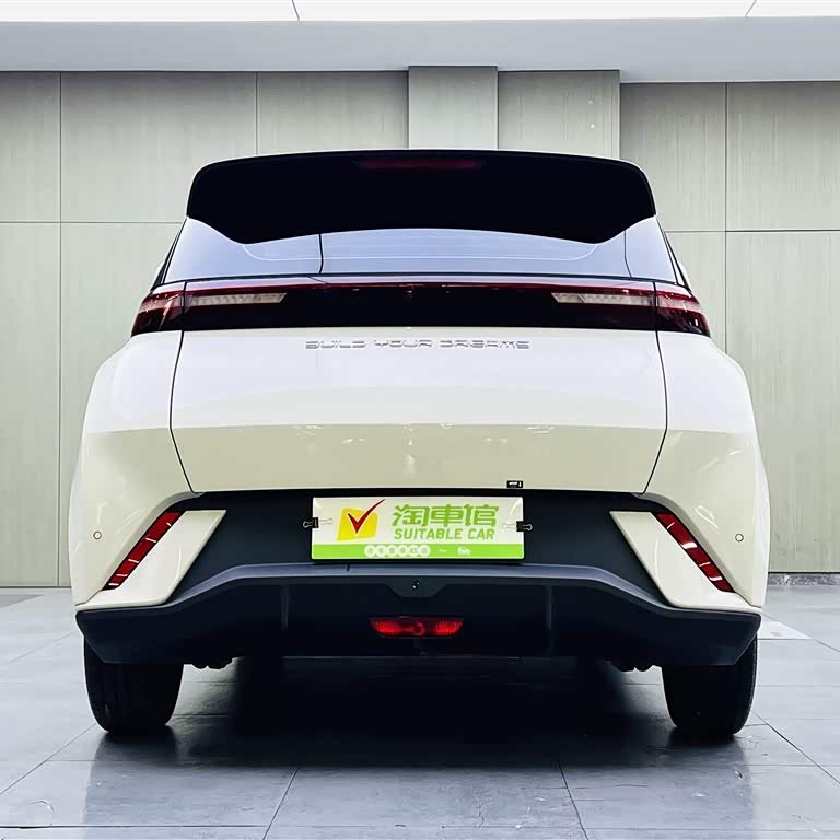 Seagull 2023 Vitality Edition Seagull 2023 Vitality Edition