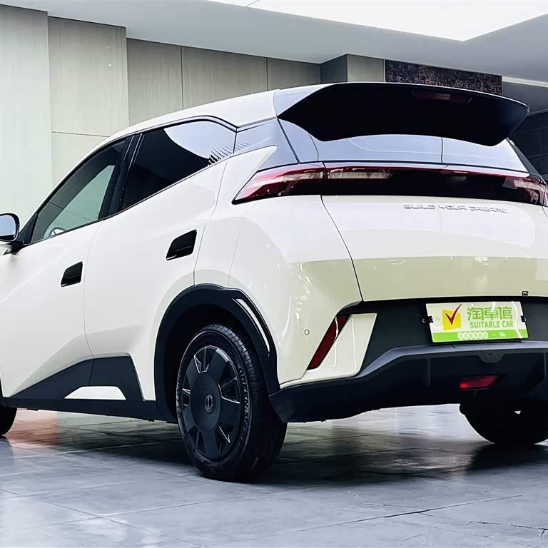Seagull 2023 Vitality Edition Seagull 2023 Vitality Edition