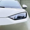 Seagull 2023 Vitality Edition Seagull 2023 Vitality Edition