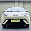 Seagull 2023 Vitality Edition Seagull 2023 Vitality Edition