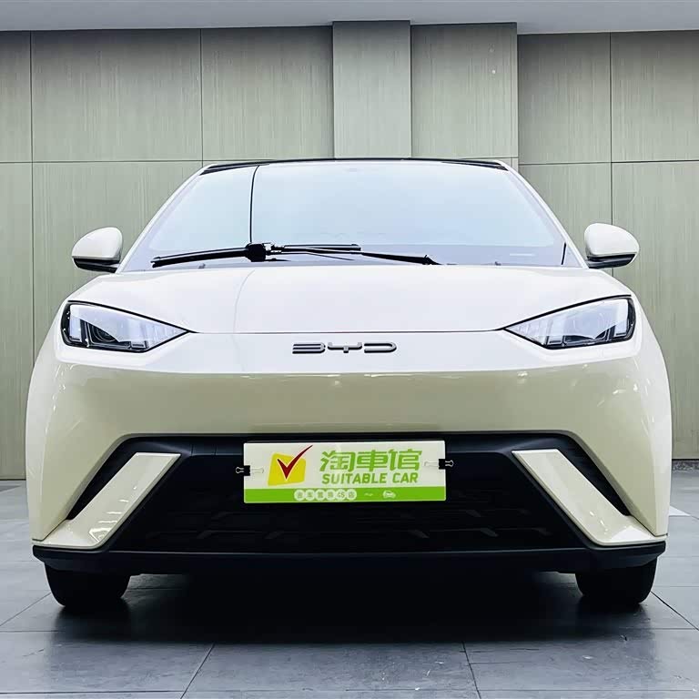 Seagull 2023 Vitality Edition Seagull 2023 Vitality Edition