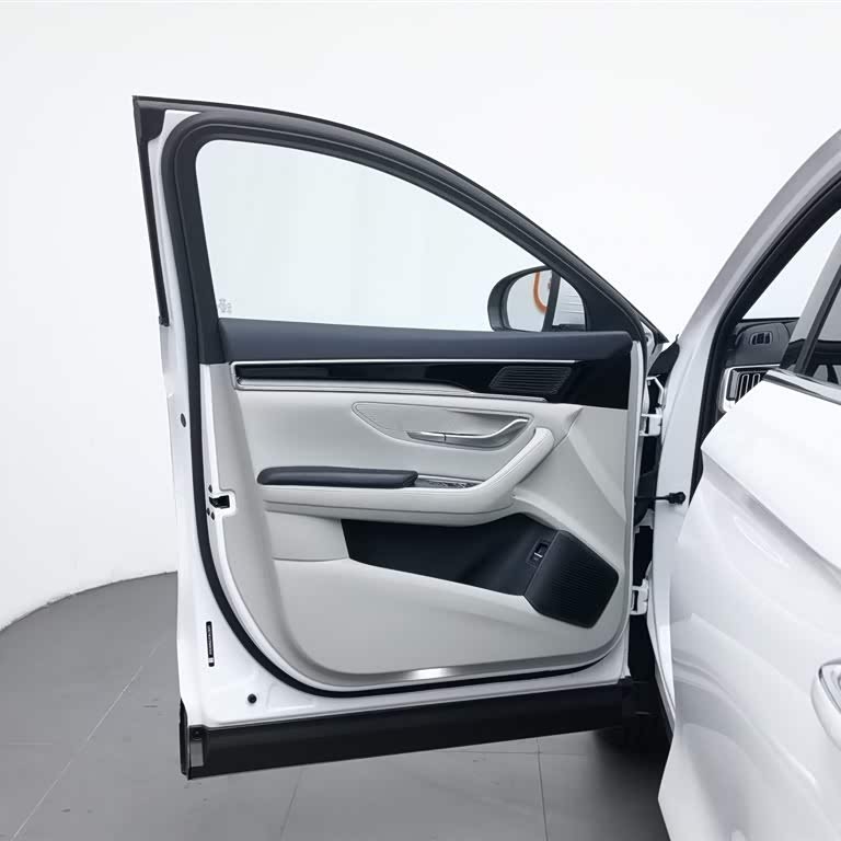 Song PLUS New Energy 2023 Champion Edition DM-i 110KM Flagship PLUS Song PLUS New Energy 2023 Champion Edition DM-i 110KM Flagship PLUS