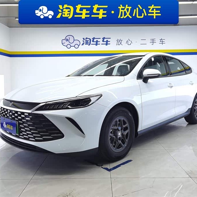 Qin PLUS 2025 DM-i Intelligent Driving Edition 55KM Leading Edition