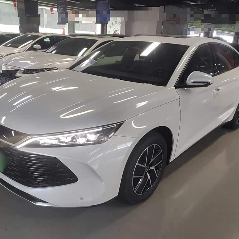 Qin L 2024 DM-i 120KM Beyond Edition