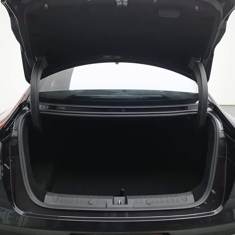 Qin L 2025 DM-i Intelligent Driving Edition 120KM Leading Model Qin L 2025 DM-i Intelligent Driving Edition 120KM Leading Model