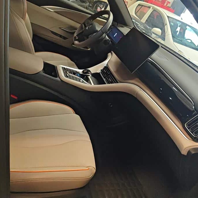 Song Pro New Energy 2024 Honor Edition DM-i 110KM Excellence Edition Song Pro New Energy 2024 Honor Edition DM-i 110KM Excellence Edition