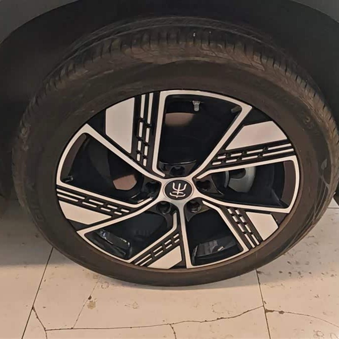 Song Pro New Energy 2024 Honor Edition DM-i 110KM Excellence Edition Song Pro New Energy 2024 Honor Edition DM-i 110KM Excellence Edition