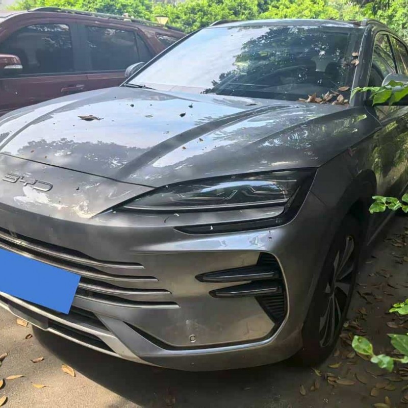 Song PLUS New Energy 2024 Honor Edition DM-i 71km Luxury Model Song PLUS New Energy 2024 Honor Edition DM-i 71km Luxury Model